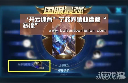 ‘开云体育’宁波养猪业遭遇“寒流”