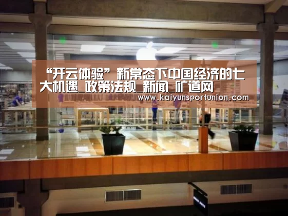 开云网站
