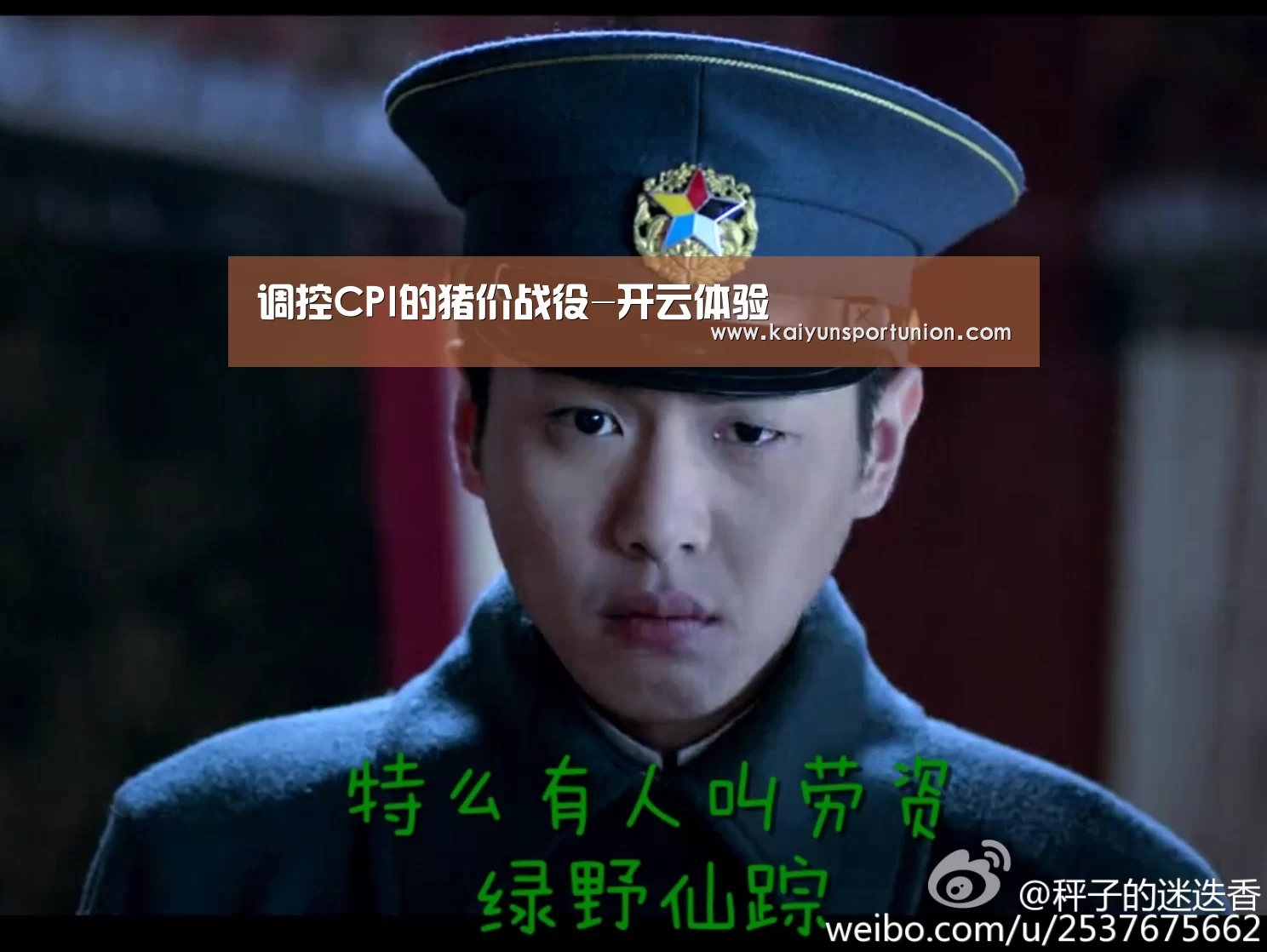 调控CPI的猪价战役-开云体验