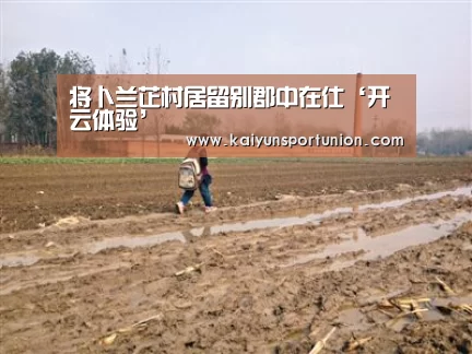 开云体验