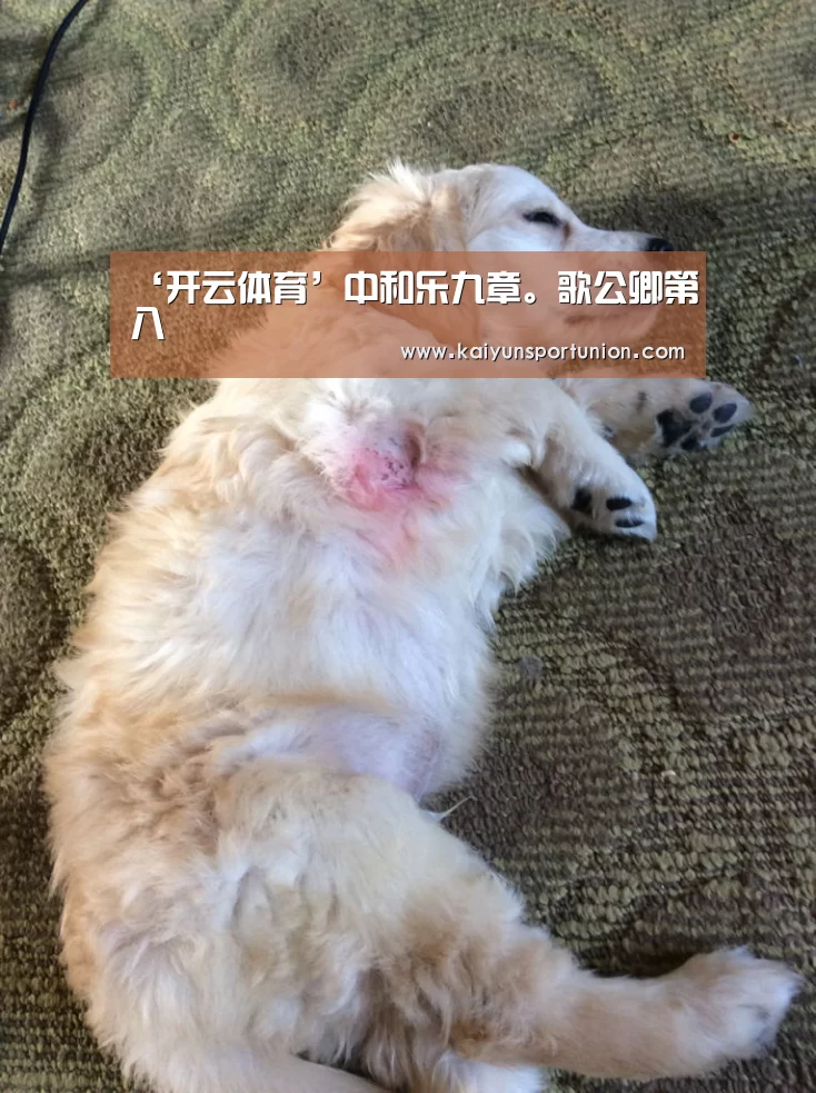 开云APP
