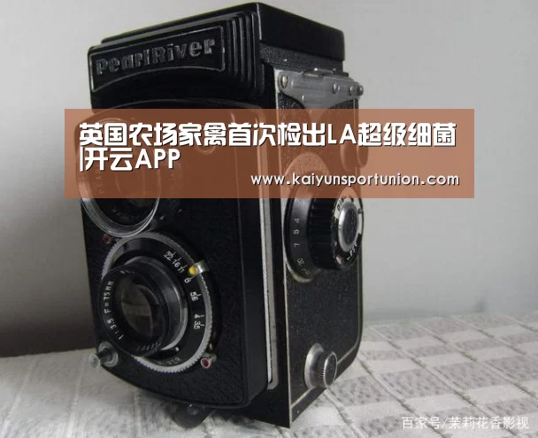 英国农场家禽首次检出LA超级细菌|开云APP