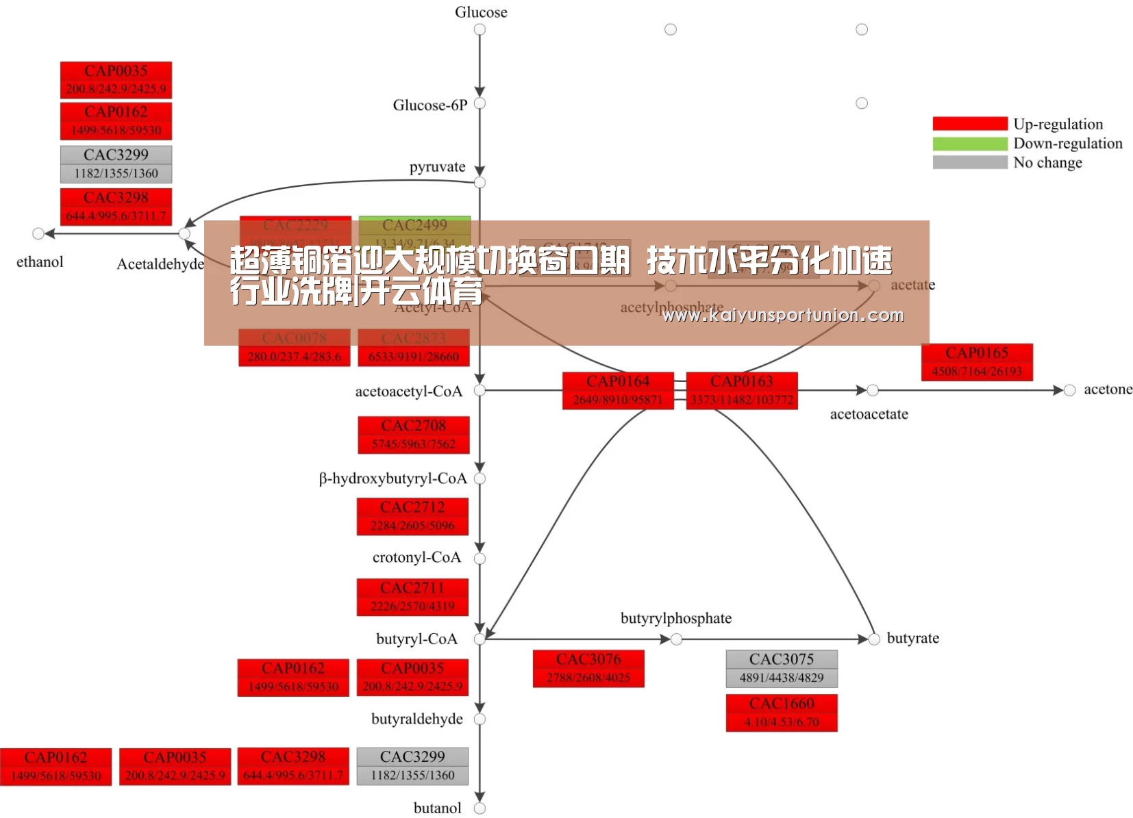 超薄铜箔迎大规模切换窗口期 技术水平分化加速行业洗牌|开云体育