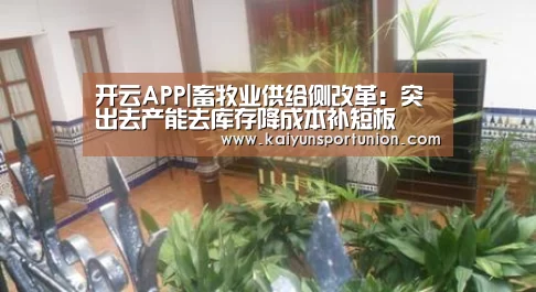 开云APP|畜牧业供给侧改革:突出去产能去库存降成本补短板(图2) 开云体育