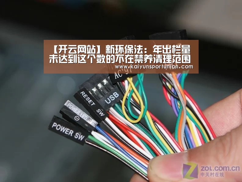 开云网站