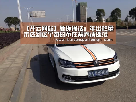开云网站
